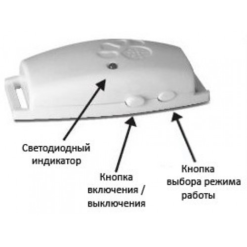 Картинка с сайта