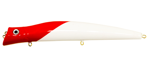 01 (4)