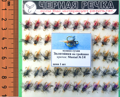 057081